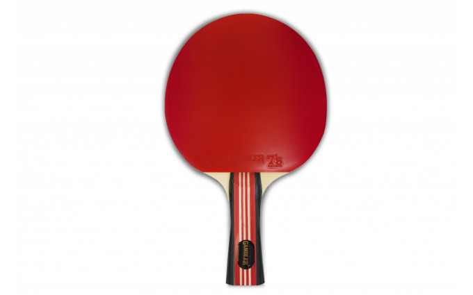 Ракетка Gambler 2 STAR (коническая) Ракетка Gambler 2 STAR (коническая)